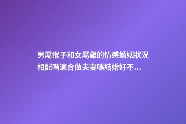 男屬猴子和女屬雞的情感婚姻狀況相配嗎適合做夫妻嗎結婚好不好 男屬雞和女屬猴的性感婚姻狀況好嗎合不合